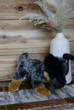 Load image into Gallery viewer, Norman The Cattle Dog
