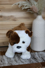 Load image into Gallery viewer, Walter The Bulldog
