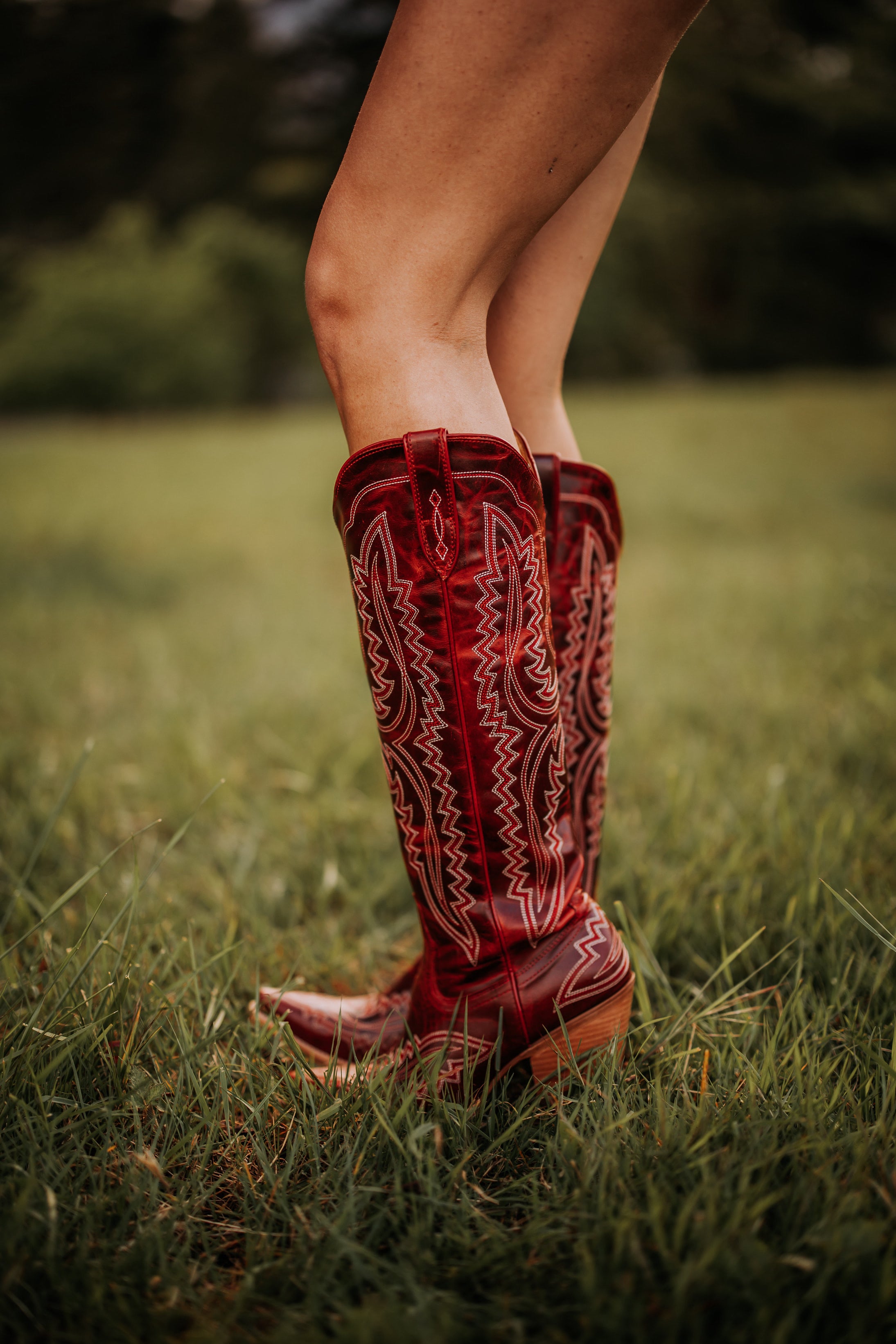Casanova Boot Red Alert | Knee-High Western Boots | Baileymay's