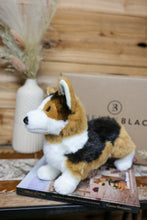Load image into Gallery viewer, Corgi Bailey