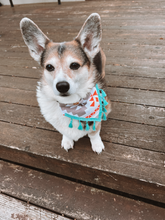 Load image into Gallery viewer, Bailey's Bandana XS