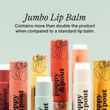 Load image into Gallery viewer, Lip Balm: Wild Honey
