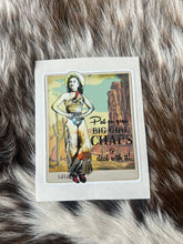 Load image into Gallery viewer, Vintage Cowgirl Sticker Decals
