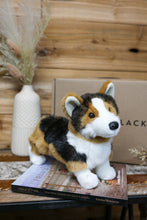 Load image into Gallery viewer, Corgi Bailey
