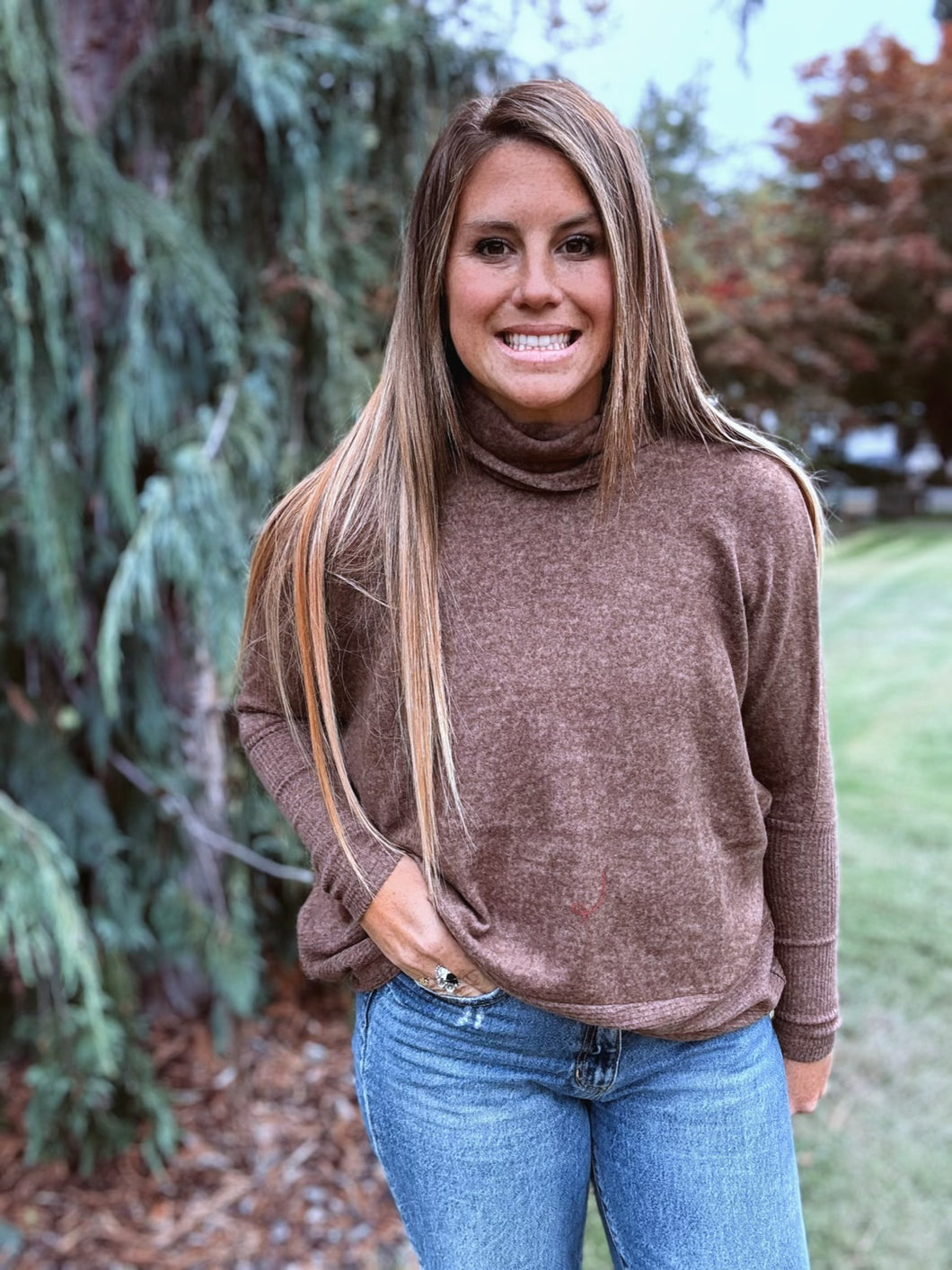 Brushed Turtleneck Sweater Brown